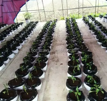 Plastic Bag Easy Fill Planter Bags Plastic Bag Easy Fill Planter Bags