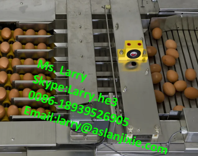 Automatic Egg Packing Machine/egg Packing Machine By Egg Tray/egg