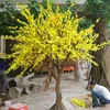 Artificial circle cherry blossom flower tree/sakura tree for wedding decoration
