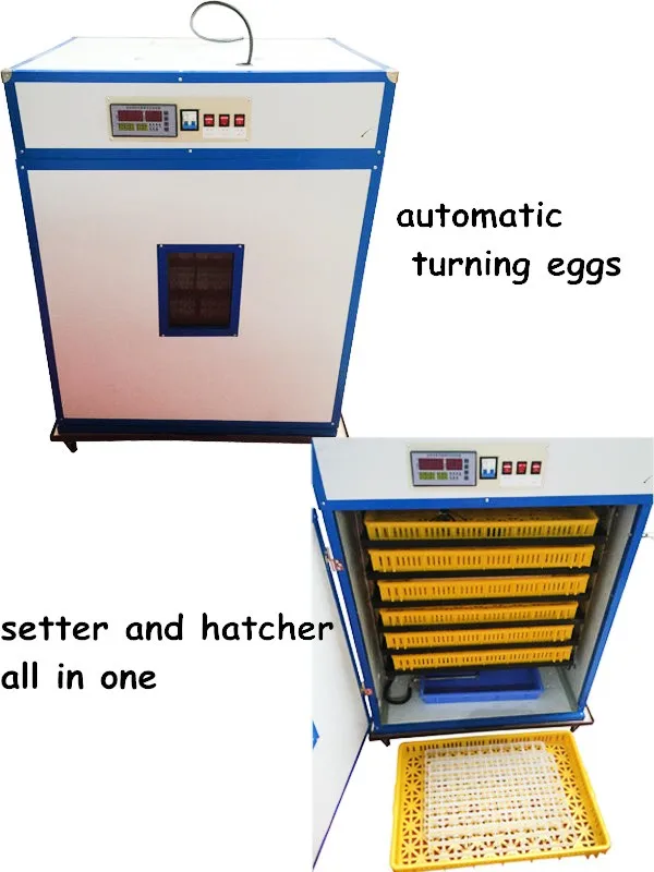 bird incubator hatching eggs