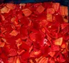 Top Quality Frozen Mixed Sweet Pepper Organic IQF Mixed Sweet Pepper Diced with good price