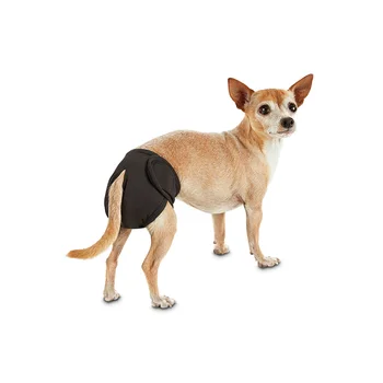 female dog diapers