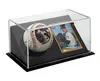 Deluxe Baseball w/Card Display Case