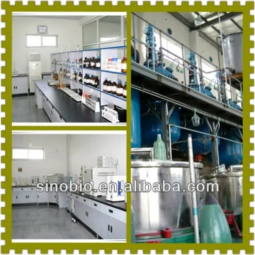 Lab.and workshop picture.jpg