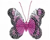 Butterfly Wings Pink and Black Children Kids Fairy Wings Fancy Dress Accessory CA1251