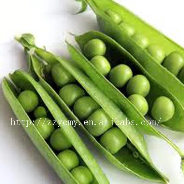 Canned Green Split Peas For Sale Buy Canned Green Split Peas,Canned