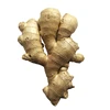 Online Wholesale Air Dry Ginger Root 150g