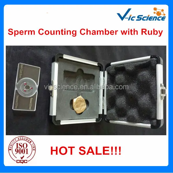 sperm counting chamber.jpg