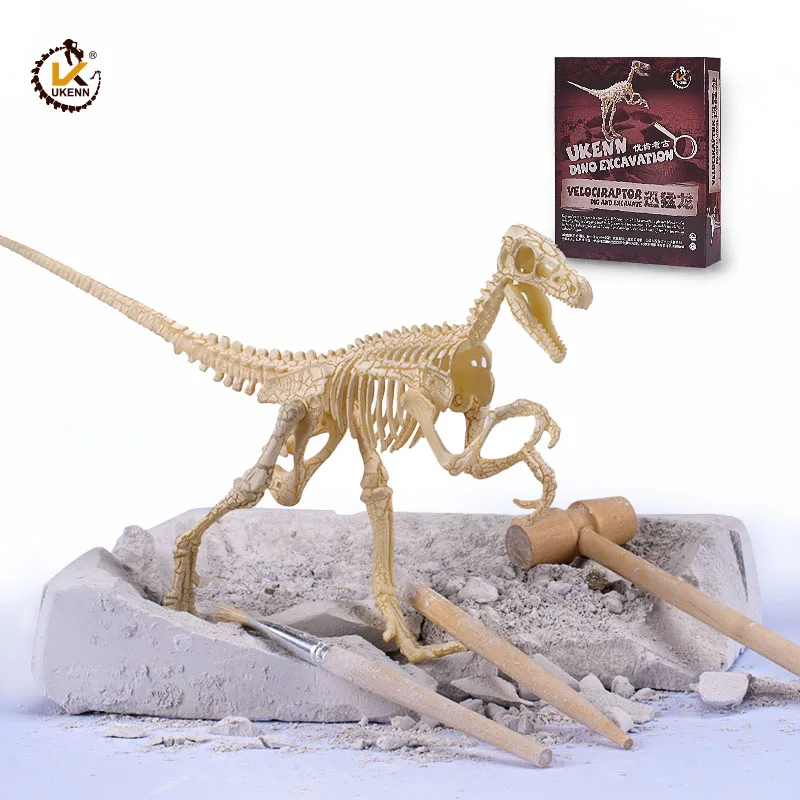 dinosaur toy skeleton fossil excavation