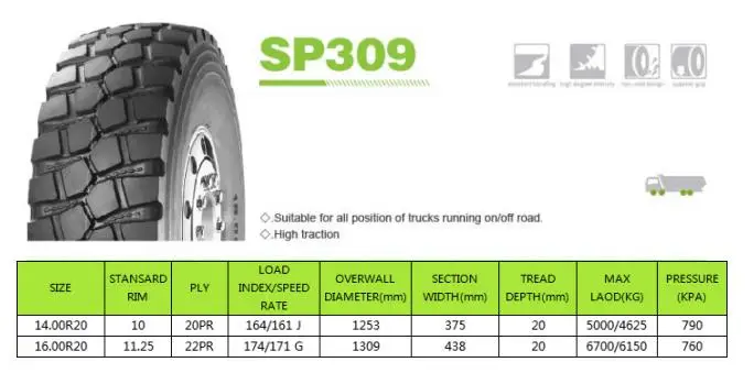 DETAILS for SP309
