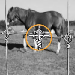 clinched edge honeycomb conveyor belt