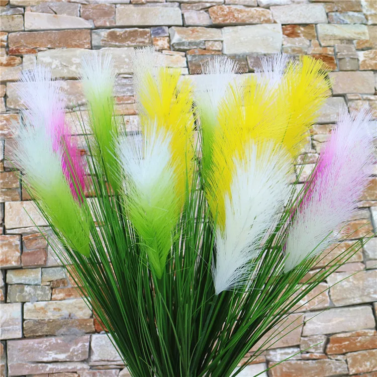 pampas grass (6).jpg