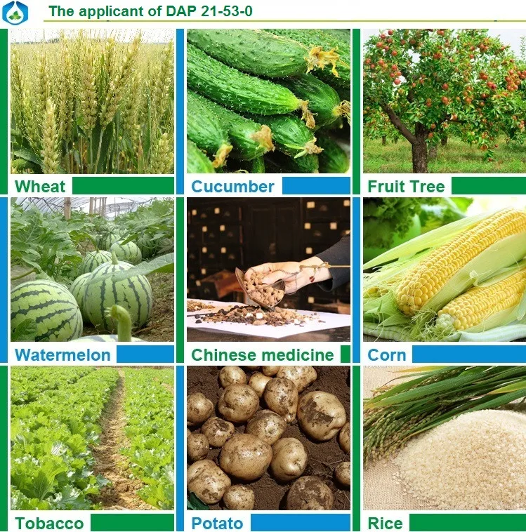 Fertilizer 21-53-0 DAP Diammonium Phosphate