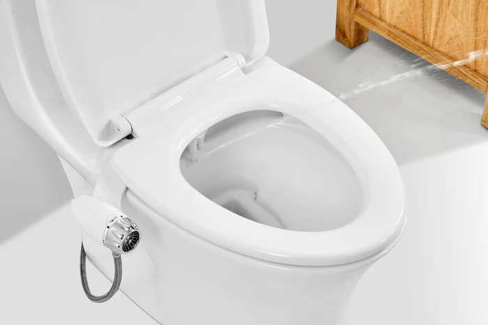 Bidet .jpg