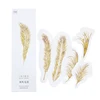 30 Pcs/box Golden Wheat Paper Bookmark Stationery Bookmarks Book Holder School Supplies Papelaria Plant Greeting Card