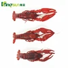 china frozen shelled red crayfish