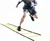 speed agility ladder and cones running parachute