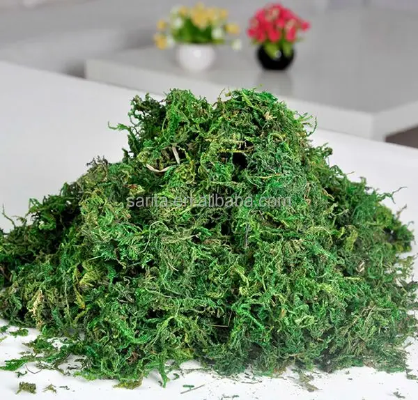 2014 New Arrival Artificial Decorative Moss For Sale Buy