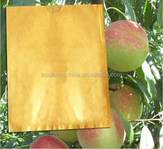 Fruit Growing Protection Wrapping Paper Bag Buy Fruit Protection Paper Bag,Fruit Protection