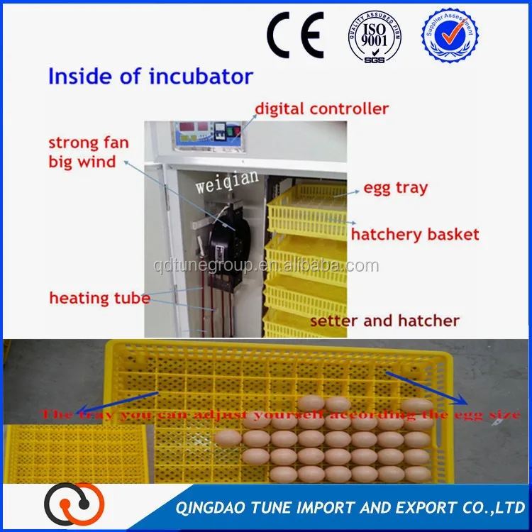 Egg incubator detail photos.jpg