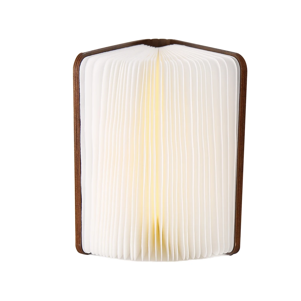 Tyvek Book Lamp.jpg