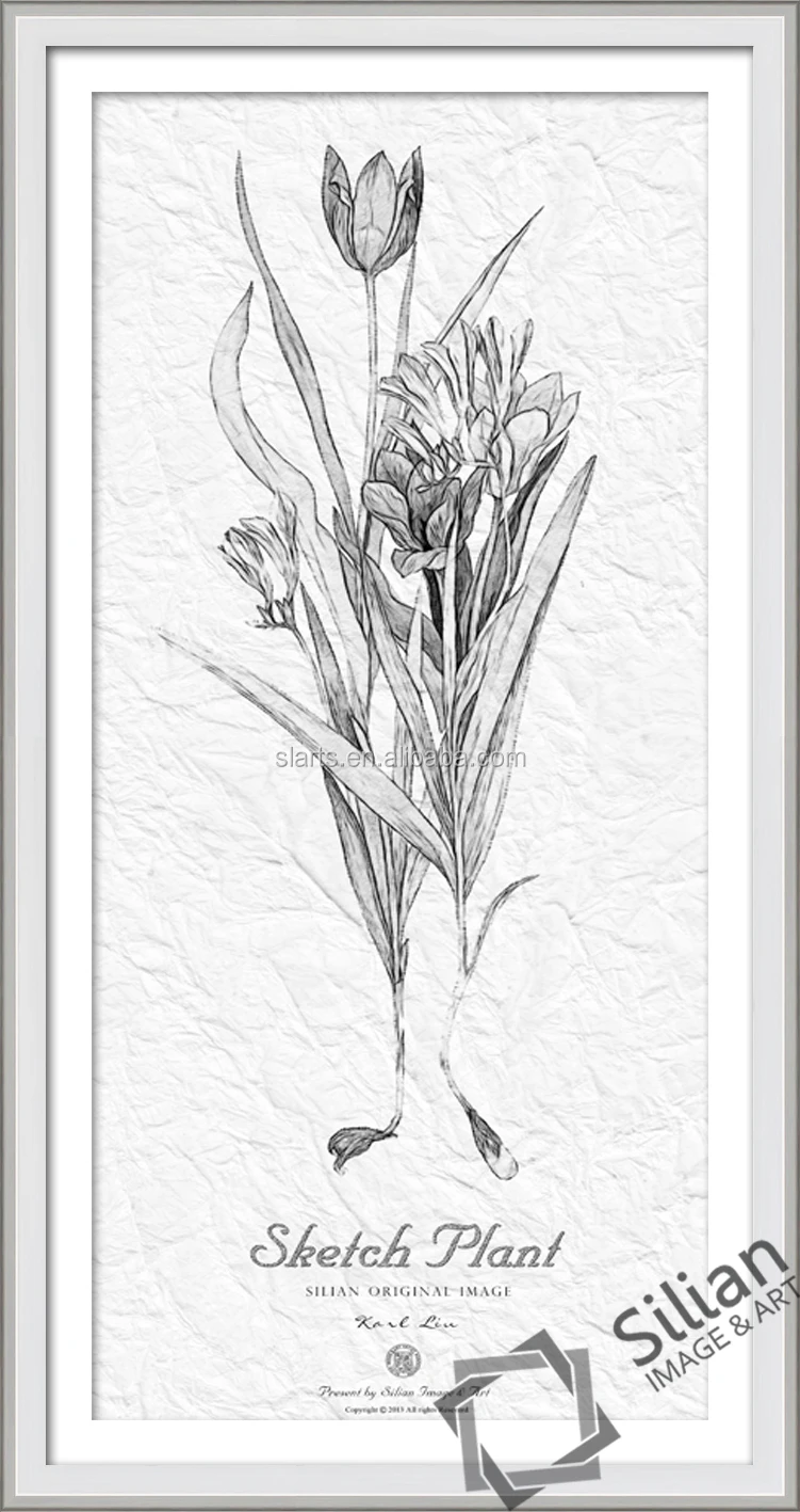 Bunga Kertas Lukisan Sketsa Buy Lukisan Bunga SederhanaSatu Bunga
