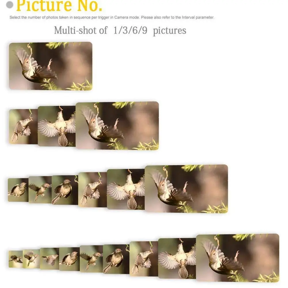 4G Trail Game Camera, 16MP 1080P HD Hunting Cam for Wildlife Scouting Camera 3 PIR Night Version//