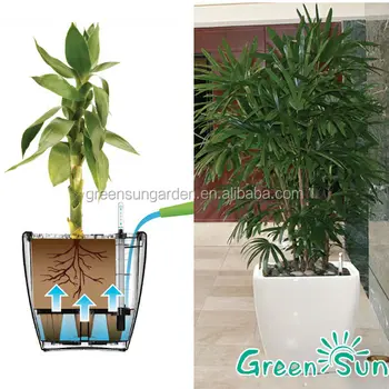 Plastic Flower Pot Greensun Planter Pots Self Watering Planters Home Plastic Flower Pot Greensun Planter Pots Self Watering Planters Home Decor Desktop
