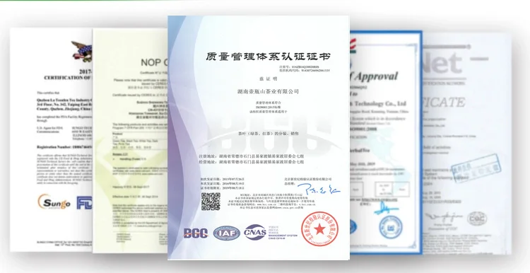 Certificate.jpg
