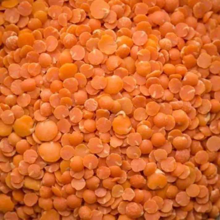 Dried Yellow Lentils