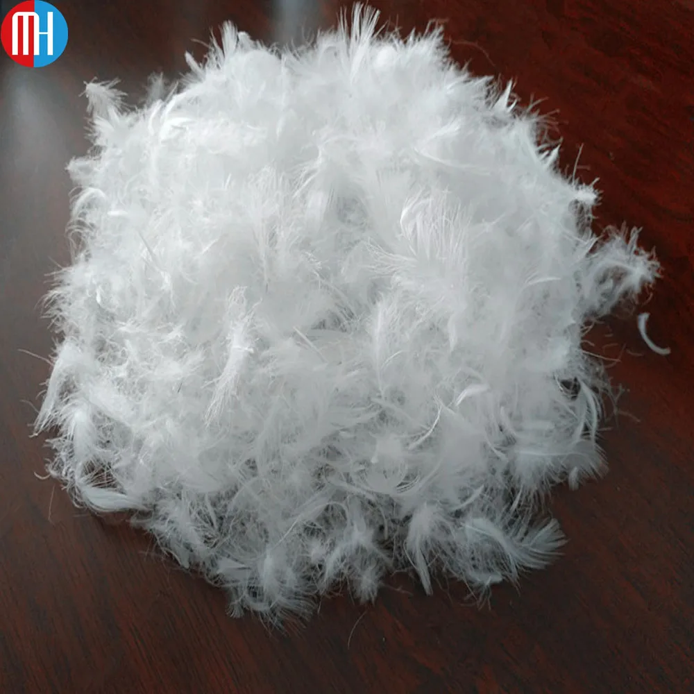 cushion feathers