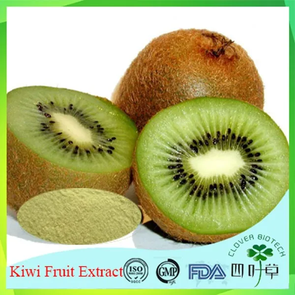Factory Direct Kiwi Fruit Extract Powder With High Quality Buy Kiwi