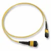 Taiwan new product hot selling array 24Cores SM APC mpo fiber optic patch cord