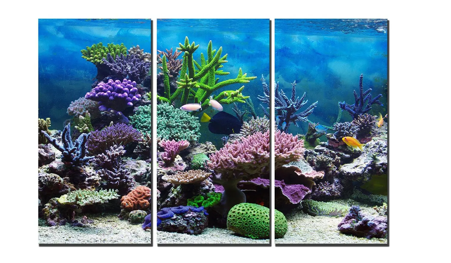 Cheap Sea Coral Prints, find Sea Coral Prints deals on line at Alibaba.com