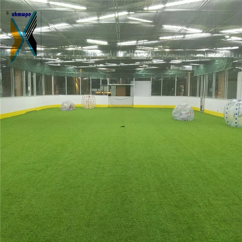 football rink.webp.jpg