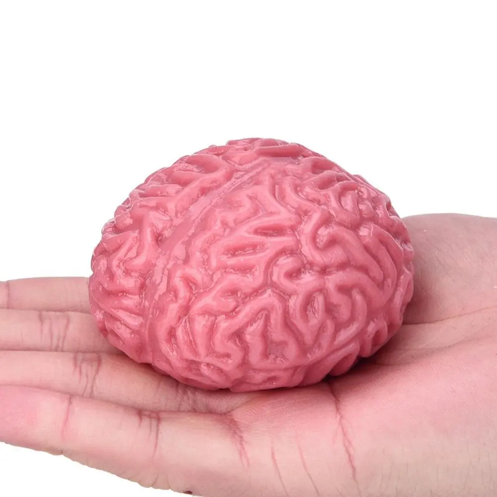 fun brain toys