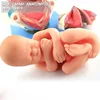 ENOVO/ Demonstration Model of Childbirth, 3in1, Genitourinary Medical Teaching Anatomical Model, 12470