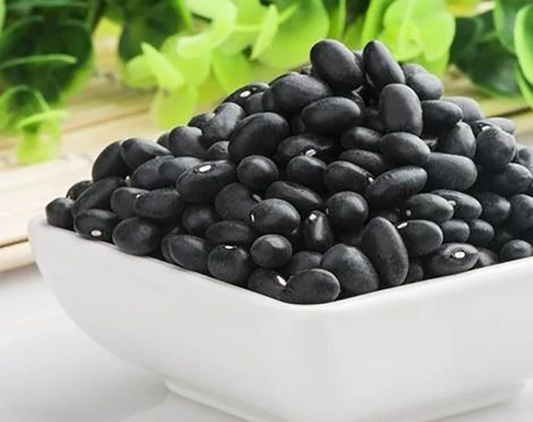 black kidney bean 07.jpg