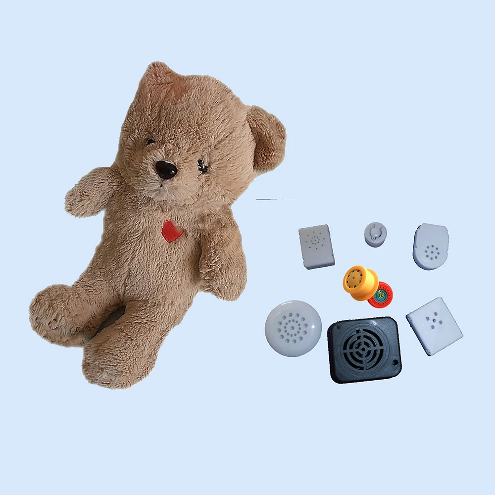 custom voice teddy bear