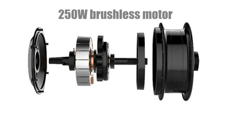 brushless motor