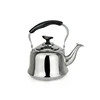 Wholesale unique kettles stainless steel tea kettle with infuser