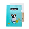 custom a4 plastic document holder, pp file folder, beautiful folder