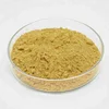 European Stocks/Echinacea Angustifolia Extract/ Echinacea Purpurea Extract Powder