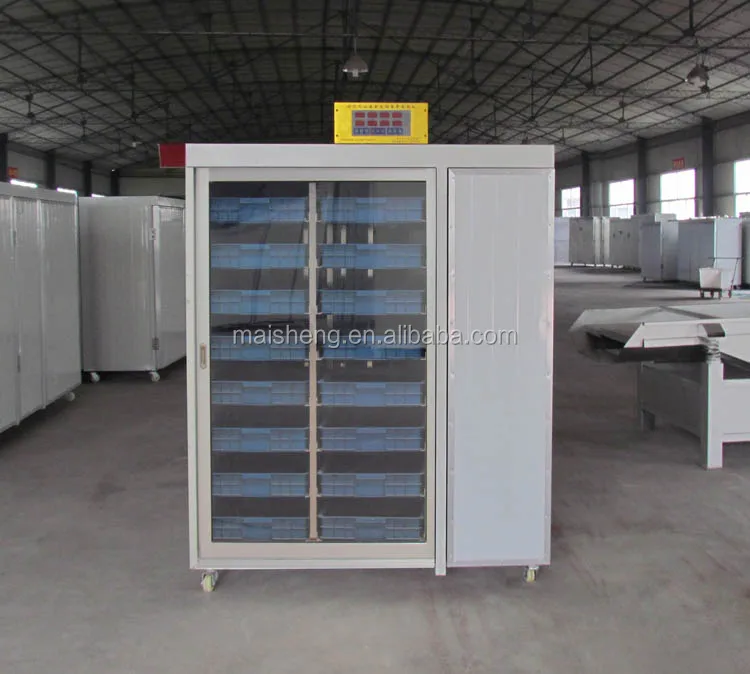 hydroponic fodder system