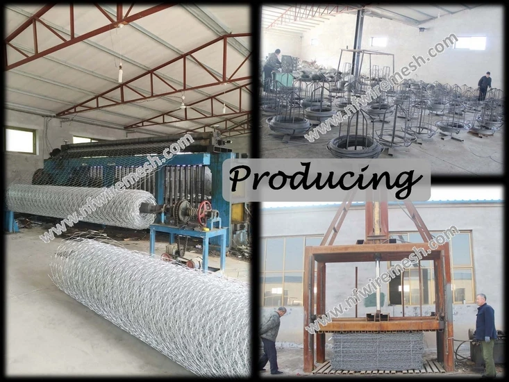 Holland wire mesh8.jpg