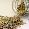 Wholesale Green Cumin Seed Price Pre Ton