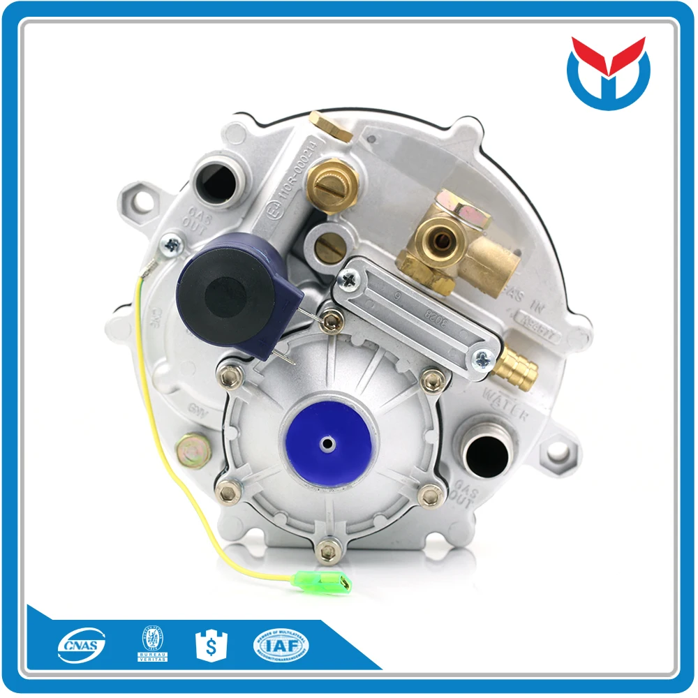 cng reducer regulator (4)