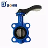 PTFE butterfly valve