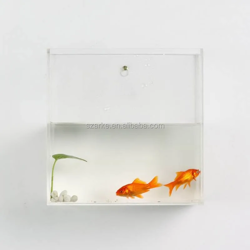 square fish tank small