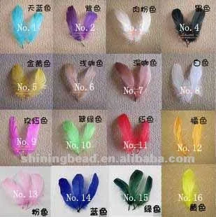 feather color sheet.jpg